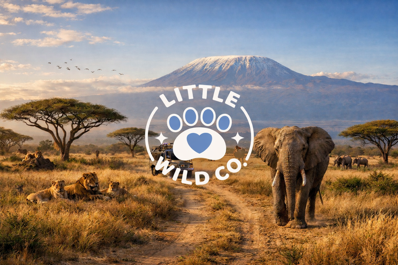 Little Wild Co.