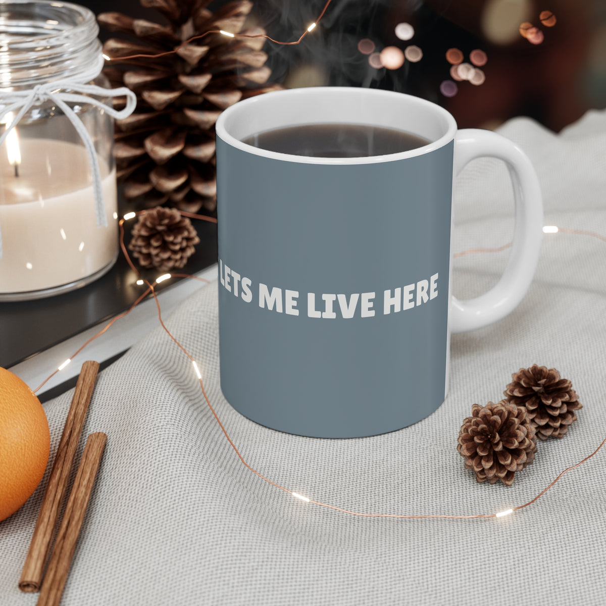 Ceramic Mug - My Cat Lets Me Live Here